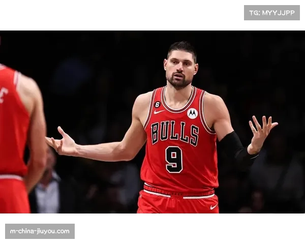 篮板榜再添新名：武切维奇超越吉布森，公牛队史排名迎来新变化