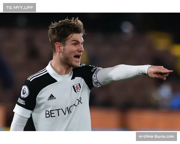 霍芬海姆主力后卫续约陷入停滞 夏窗或引发争夺战 霍芬海姆主力后卫续约陷入停滞 夏窗或引发争夺战